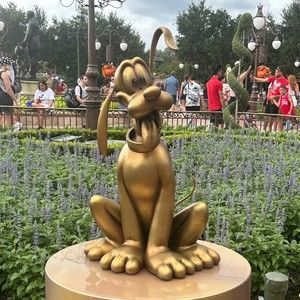 Meet your Posher, Andy